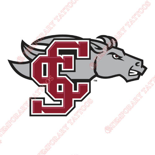 Santa Clara Broncos Customize Temporary Tattoos Stickers NO.6136